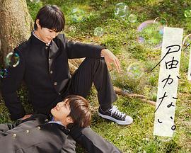 荆州工厂网站优化价格